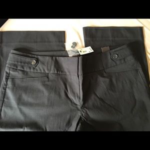 NWT: The Limited Exact Stretch Bootcut Pants 16 L